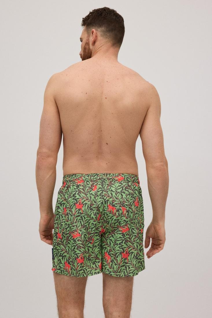 Boxer Mare Uomo Scimmie 90299